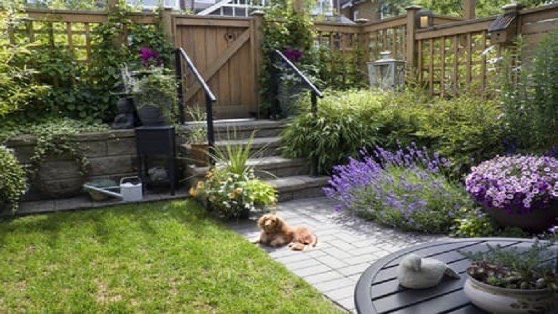 decadgarden yard tips by decoratoradvice